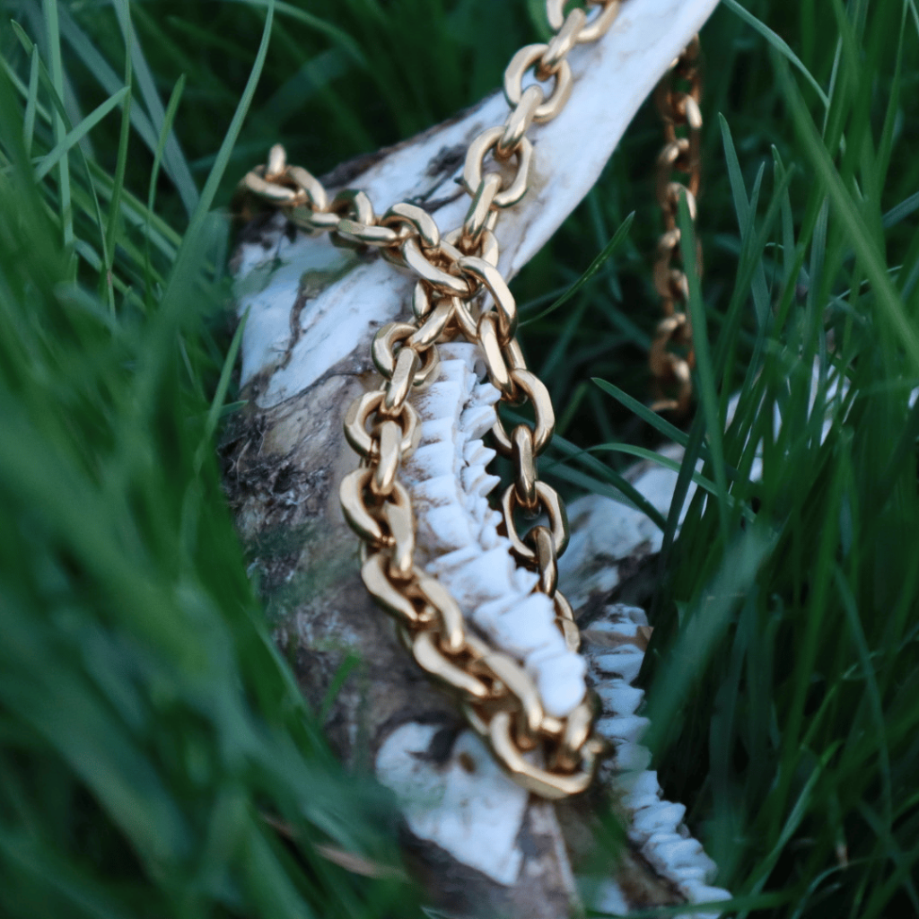 Gold necklace On Deer Jaw Bone Jewelry Photo shoot