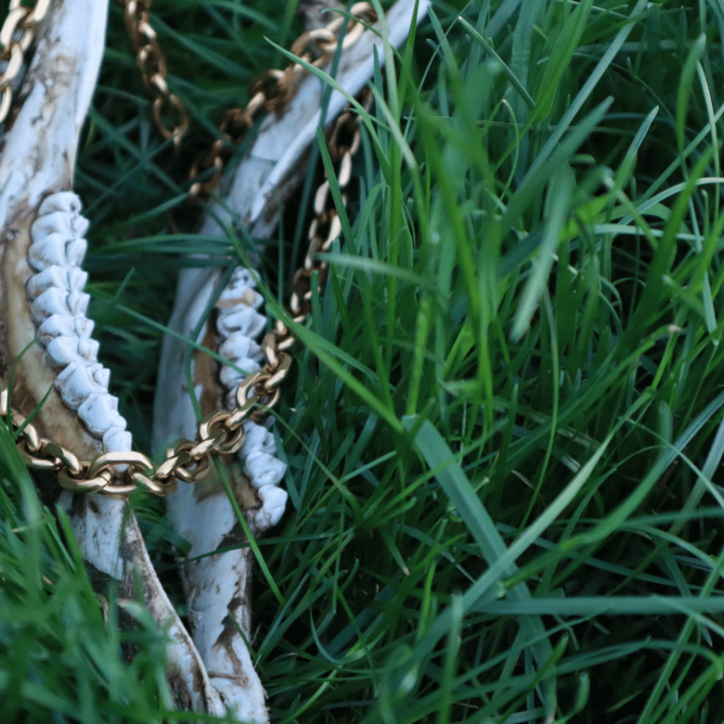 Gold necklace On Deer Jaw Bone Jewelry Photo shoot