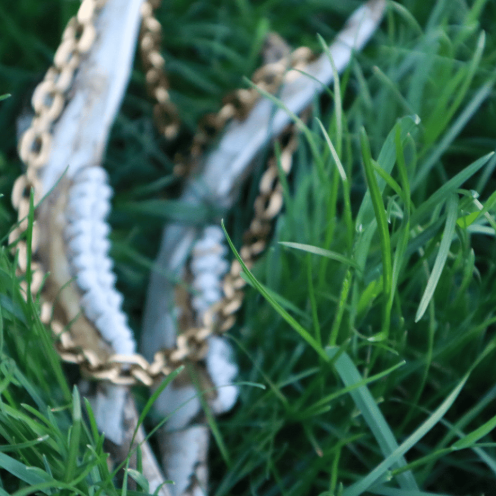 Gold necklace On Deer Jaw Bone Jewelry Photo shoot