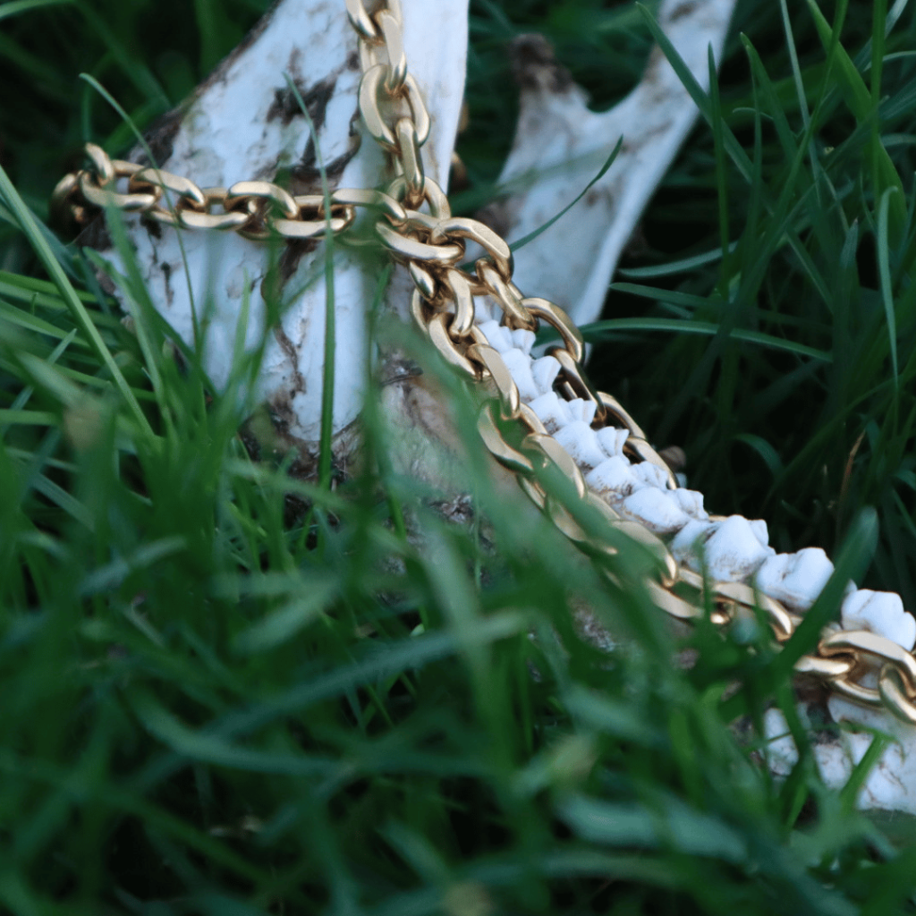 Gold necklace On Deer Jaw Bone Jewelry Photo shoot